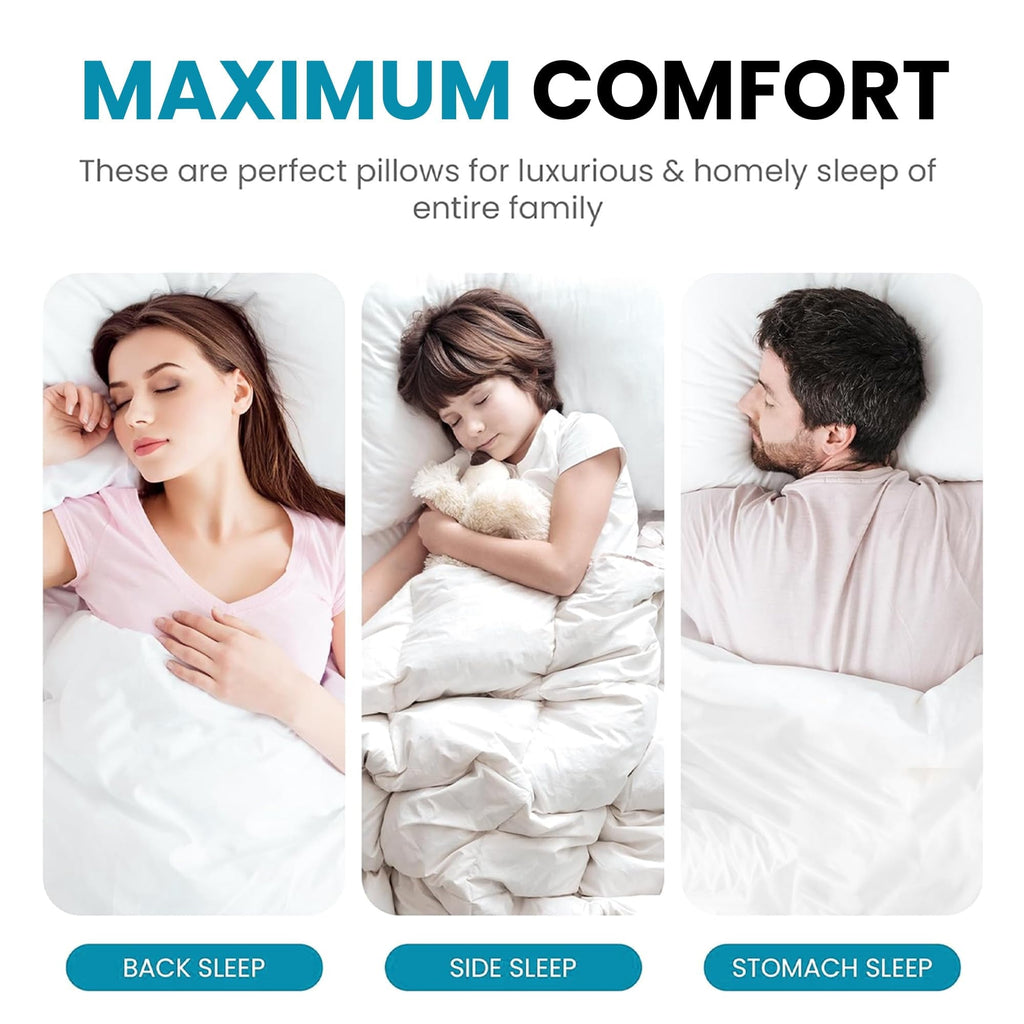 Orthopedic Support 2-Pack Standard Bed Pillows – Soft, Breathable & Hypoallergenic for Better Sleep - Decorative Throw Pillow Cushion for Sofa & Bed Detail
