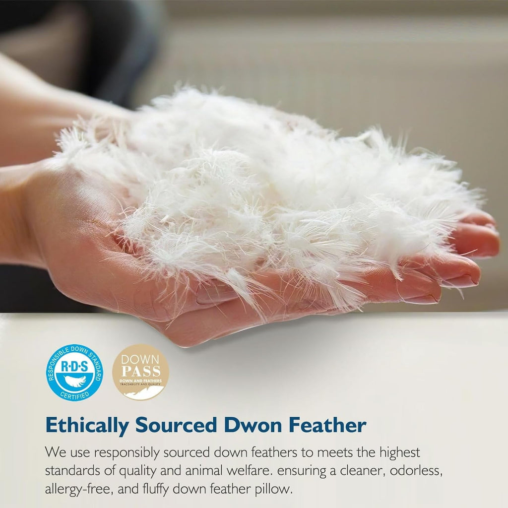 Hotel Collection Hypoallergenic 3‑Chamber Goose Feather Down Core Bed Pillows, Standard Size Set of 2, With Microfiber Surround, Soft-... - Orthopedic Shredded Foam Bed Pillow Set Detail