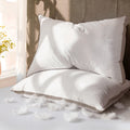 Hotel Collection Goose Feather Down Pillows Queen Size Set of 2, 100% Cotton Cover Hotel Collection Bed Pillows，20"x28" - Ergonomic Memory Foam Pillow for Neck Pain Support - Default Title